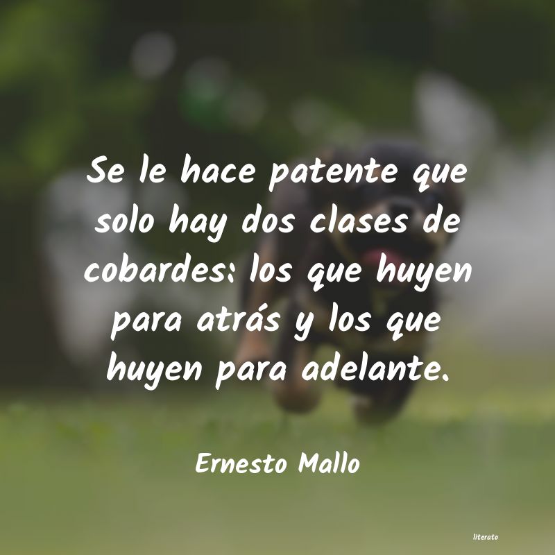 Frases de Ernesto Mallo