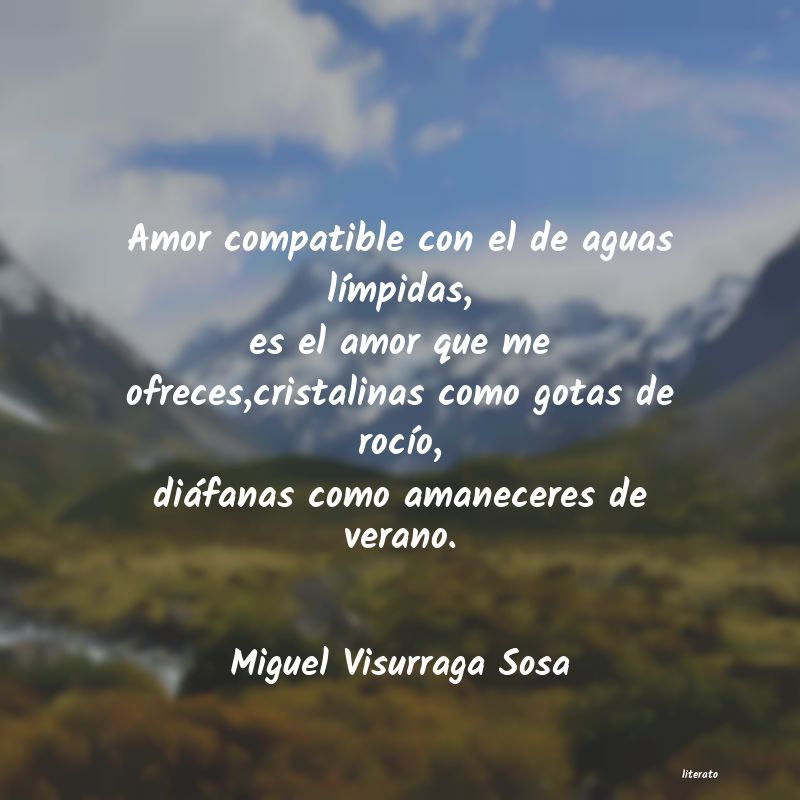 Frases de Miguel Visurraga Sosa