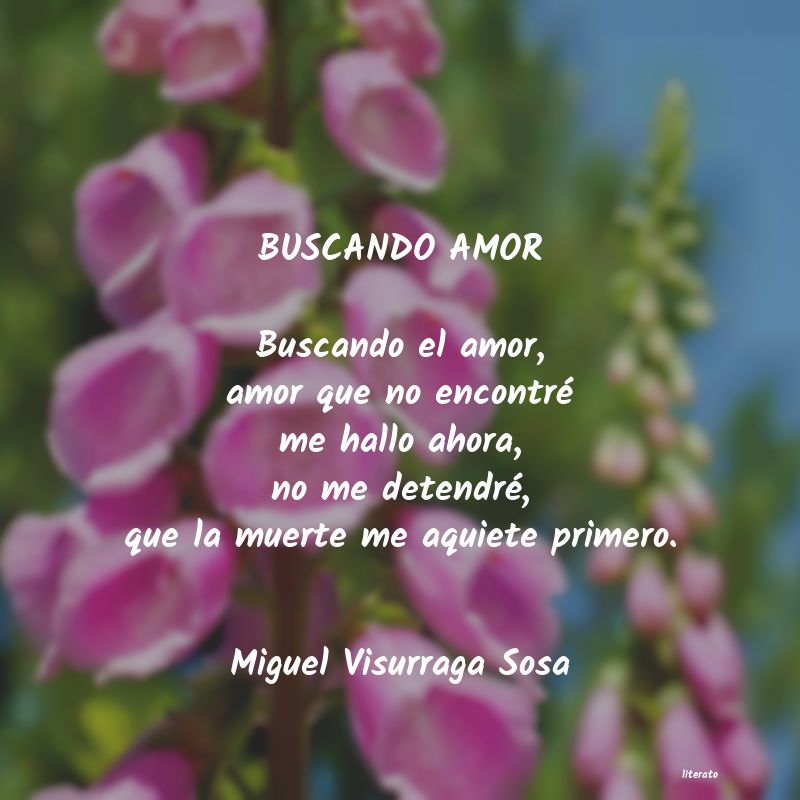 Frases de Miguel Visurraga Sosa