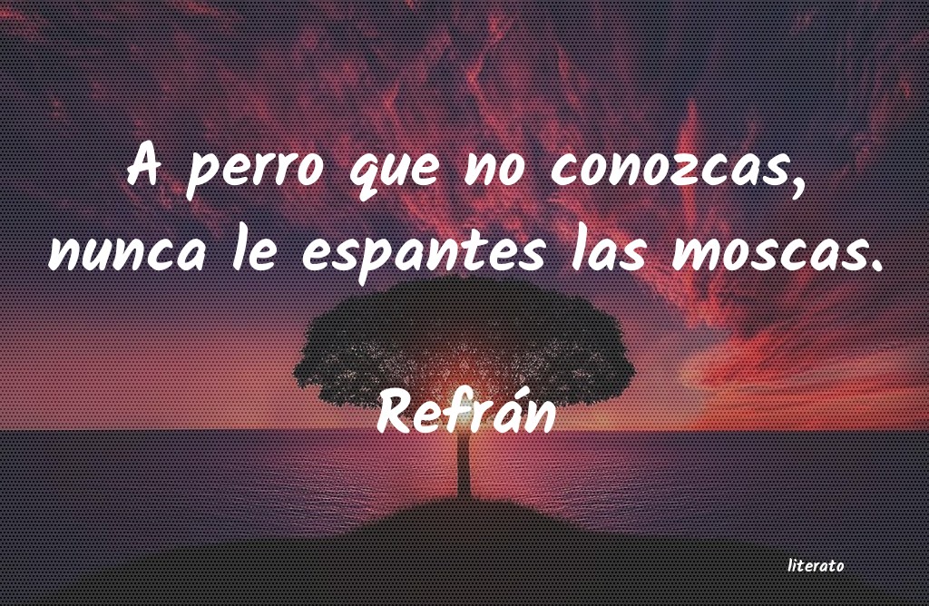 Frases de Refrán