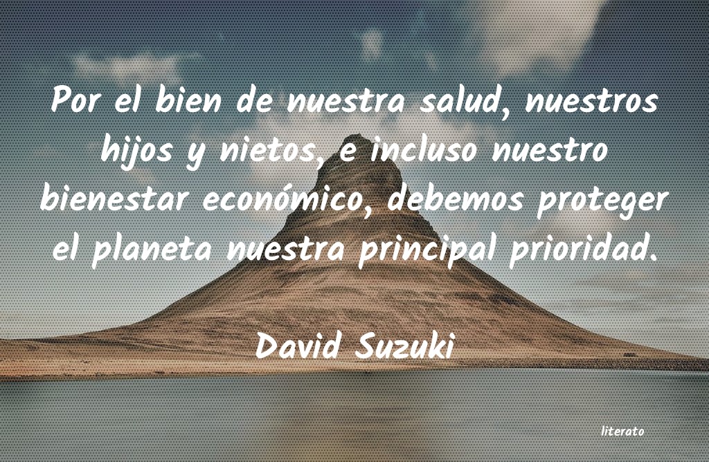 Frases de David Suzuki