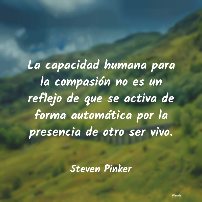 Frases de Steven Pinker