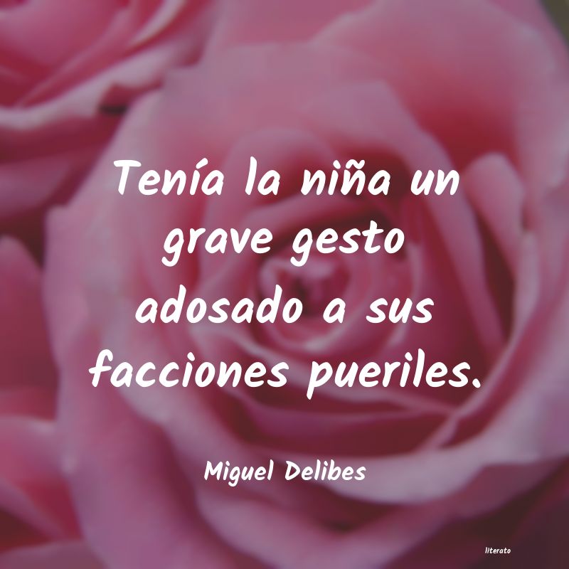 frases de Miguel Delibes