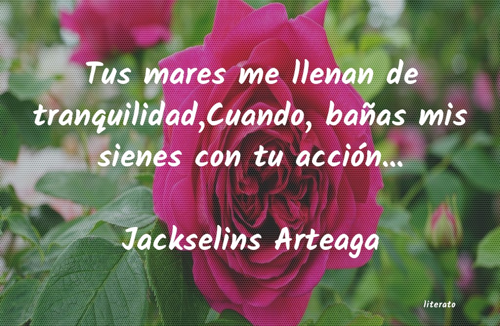 frases de Jackselins Arteaga