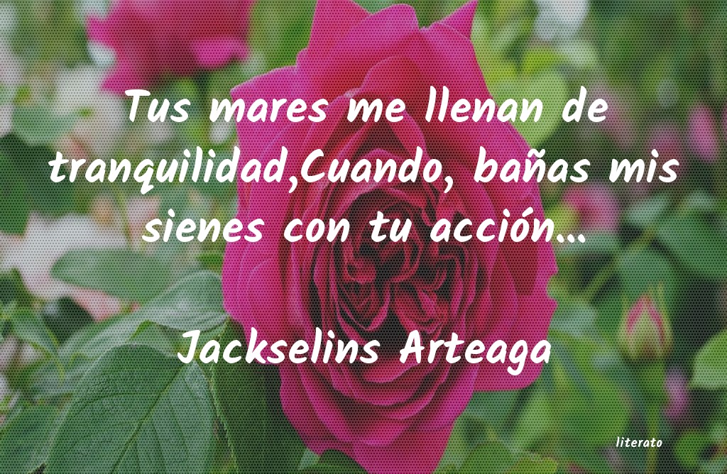 Frases de Jackselins Arteaga