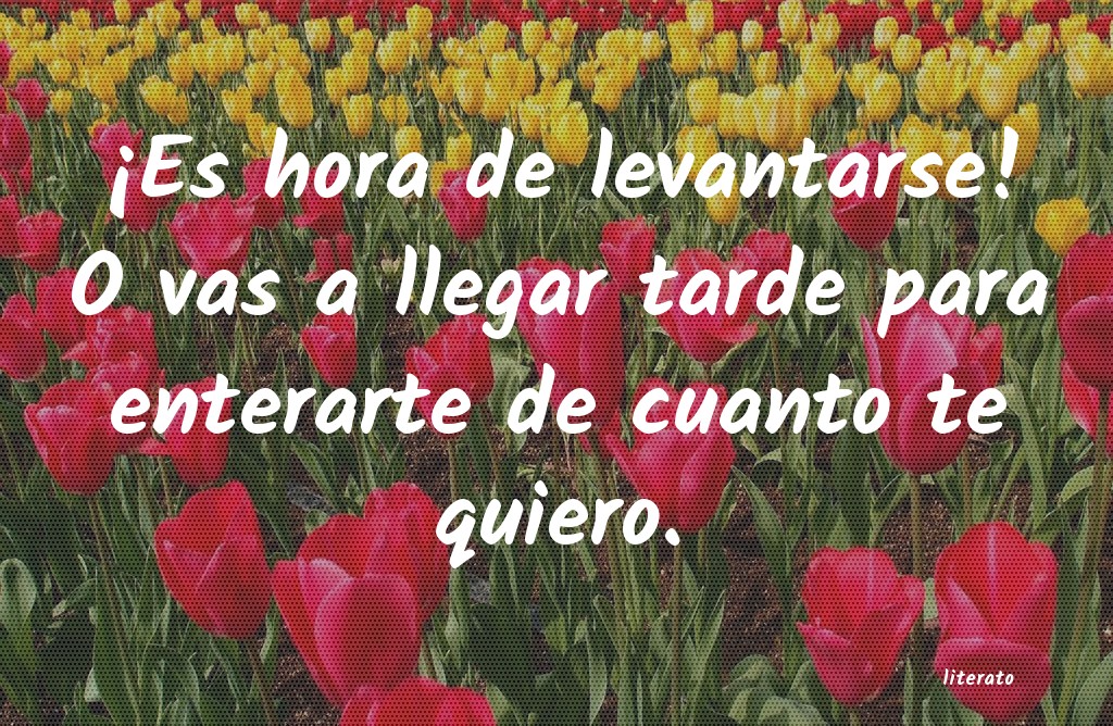 frases