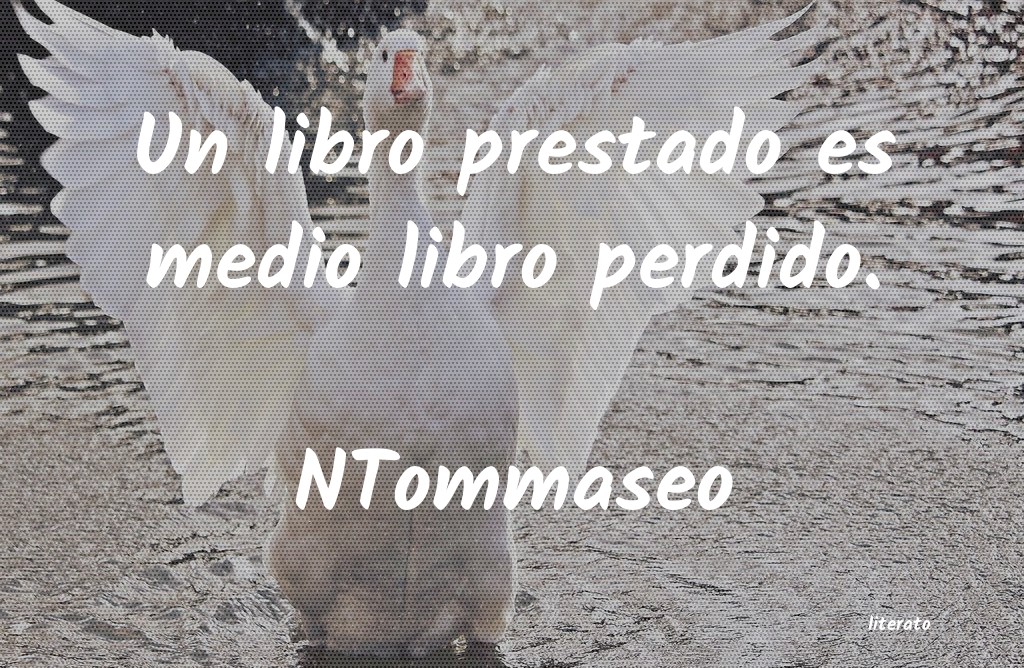 libro aura o las violetas