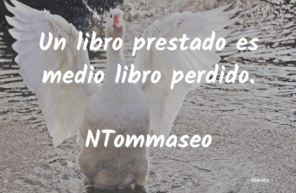 Frases de NTommaseo