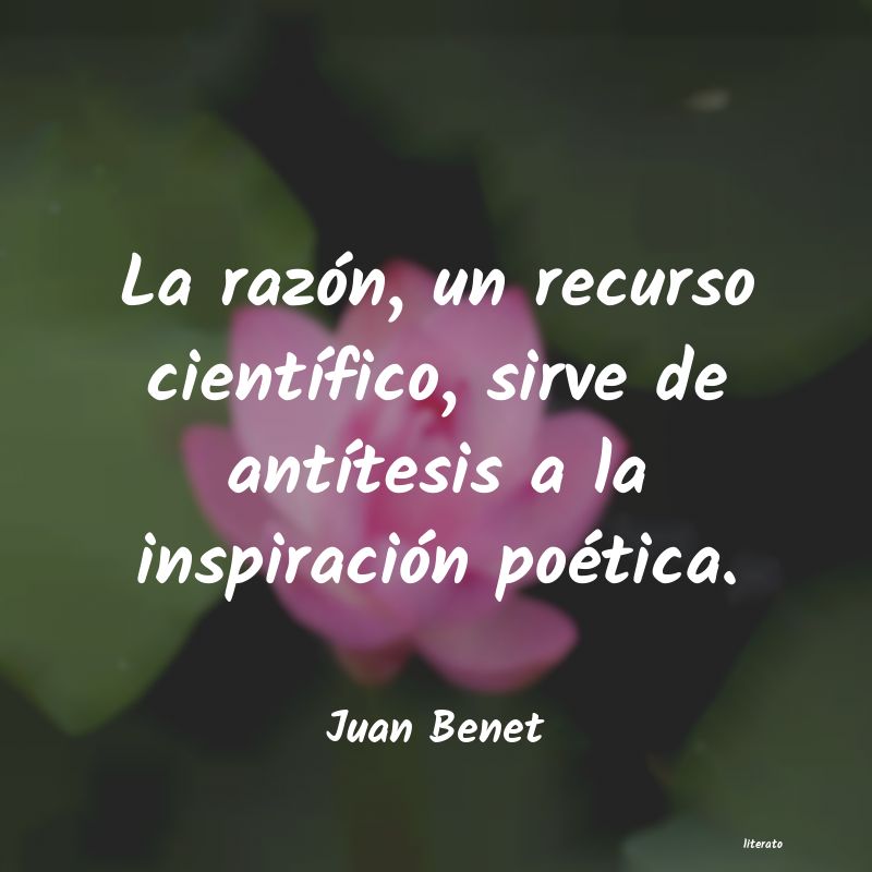 la inspiracion de juan benet