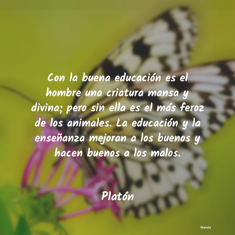 Frases de Platón