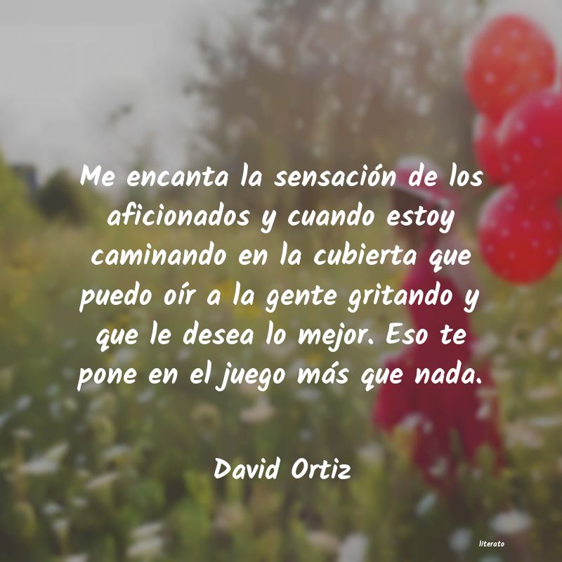 Frases de David Ortiz