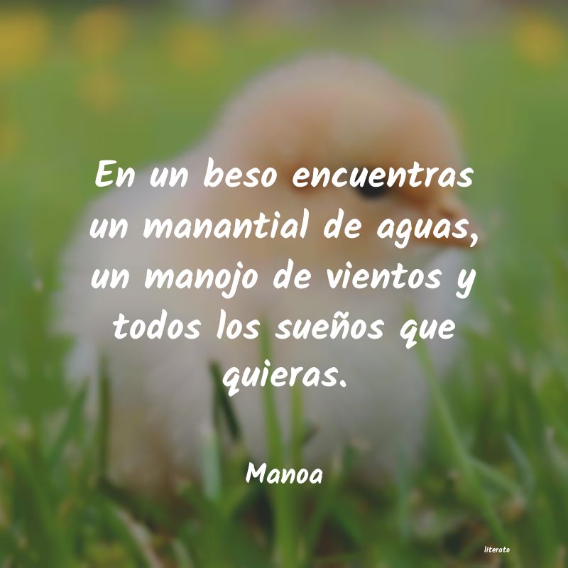 Frases de Manoa