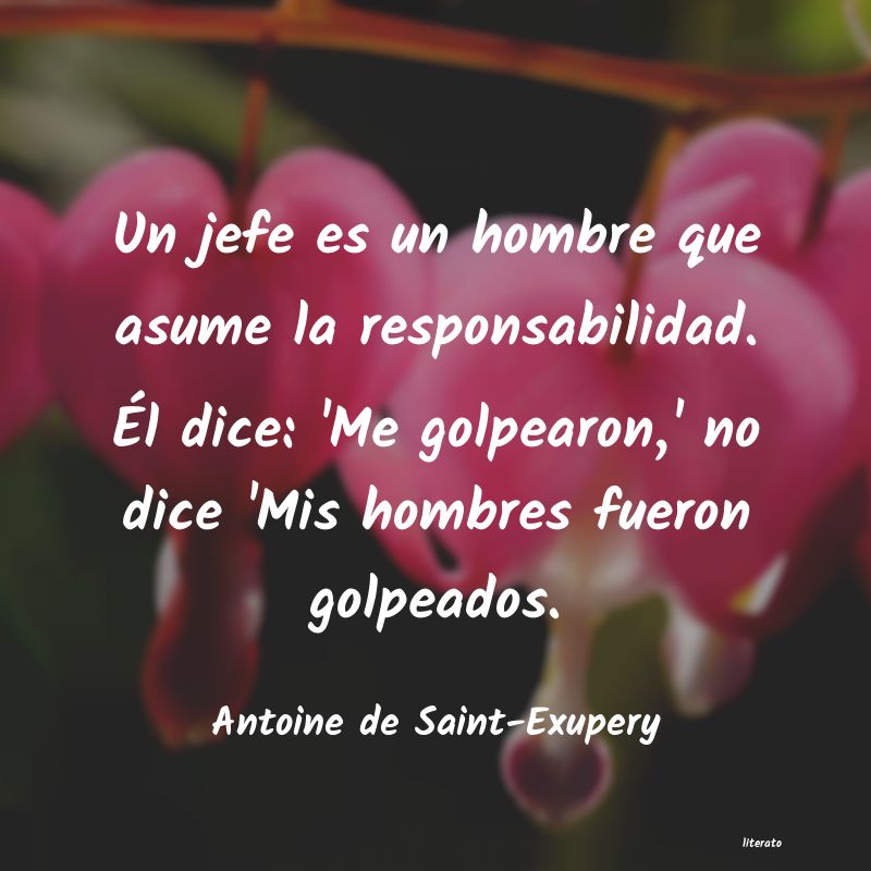 Frases de Antoine de Saint-Exupery