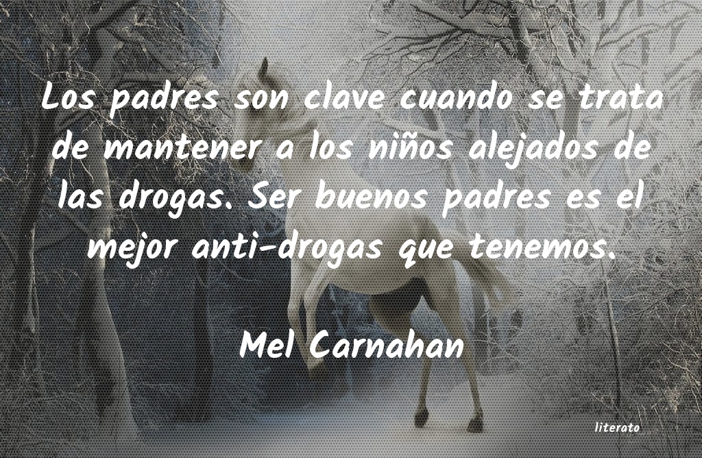 Frases de Mel Carnahan