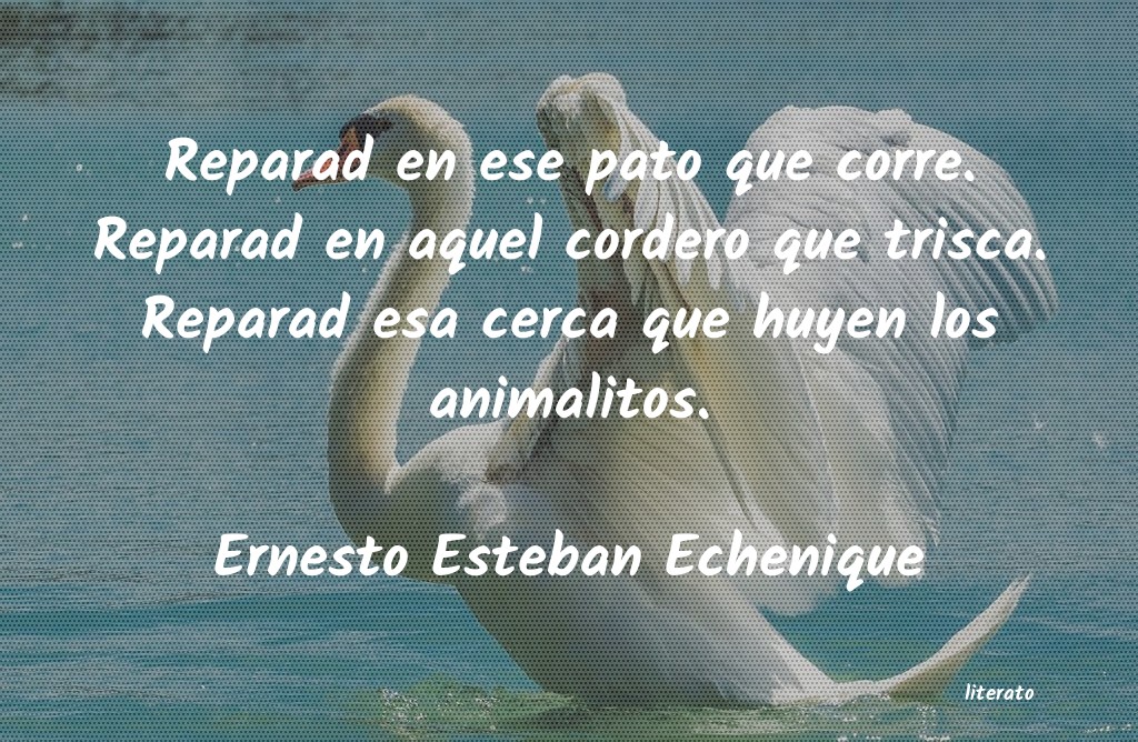 frases de Ernesto Esteban Echenique