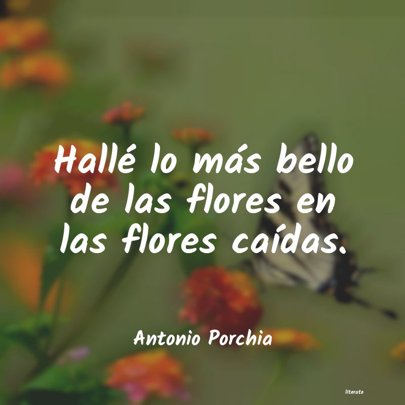 frases de Antonio Porchia
