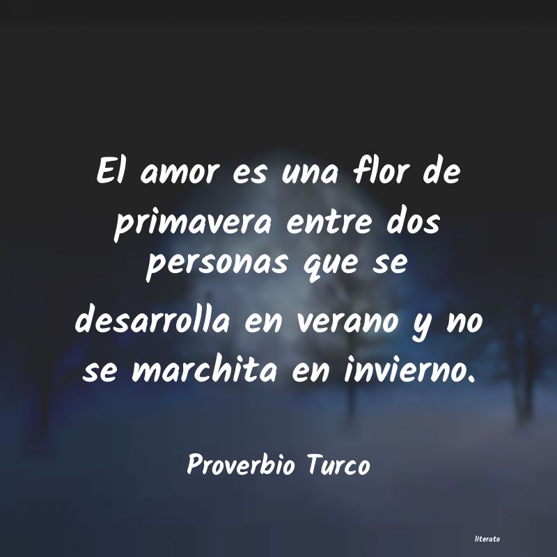 Frases de Proverbio Turco