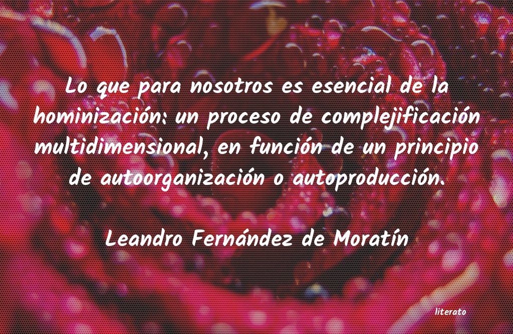 Frases de Leandro Fernández de Moratín