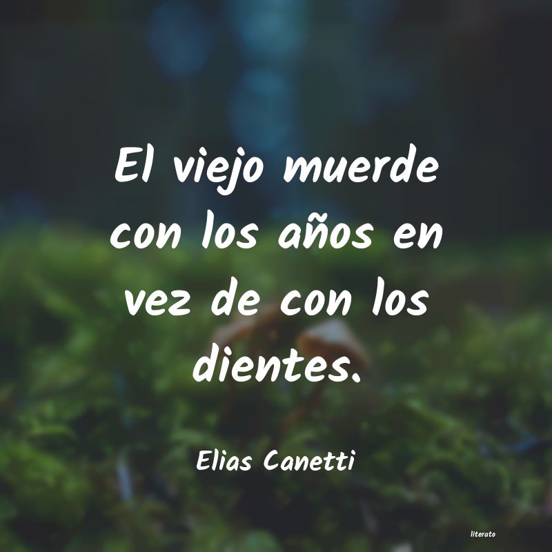 Frases de Elias Canetti