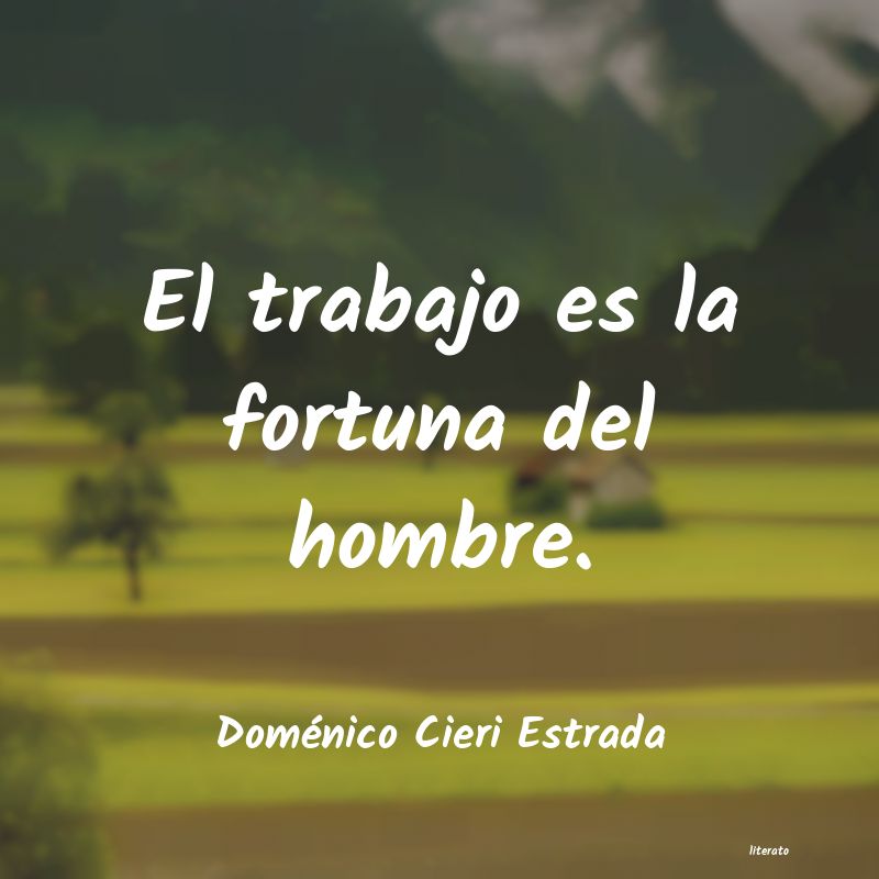 Frases de Doménico Cieri Estrada