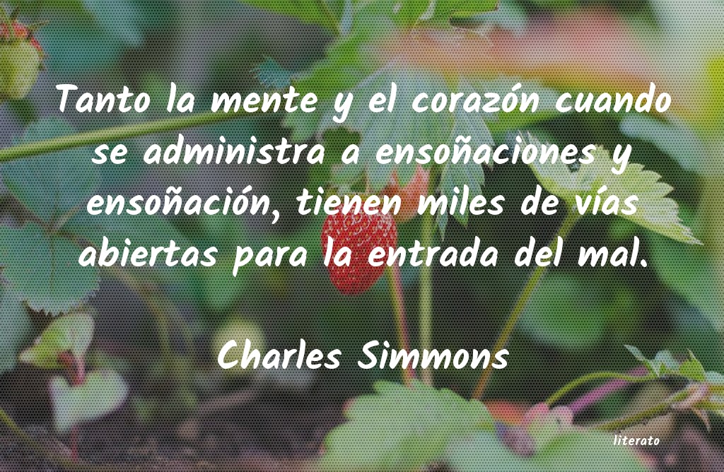 frases de Charles Simmons