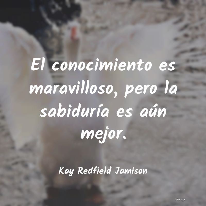 frases de Kay Redfield Jamison