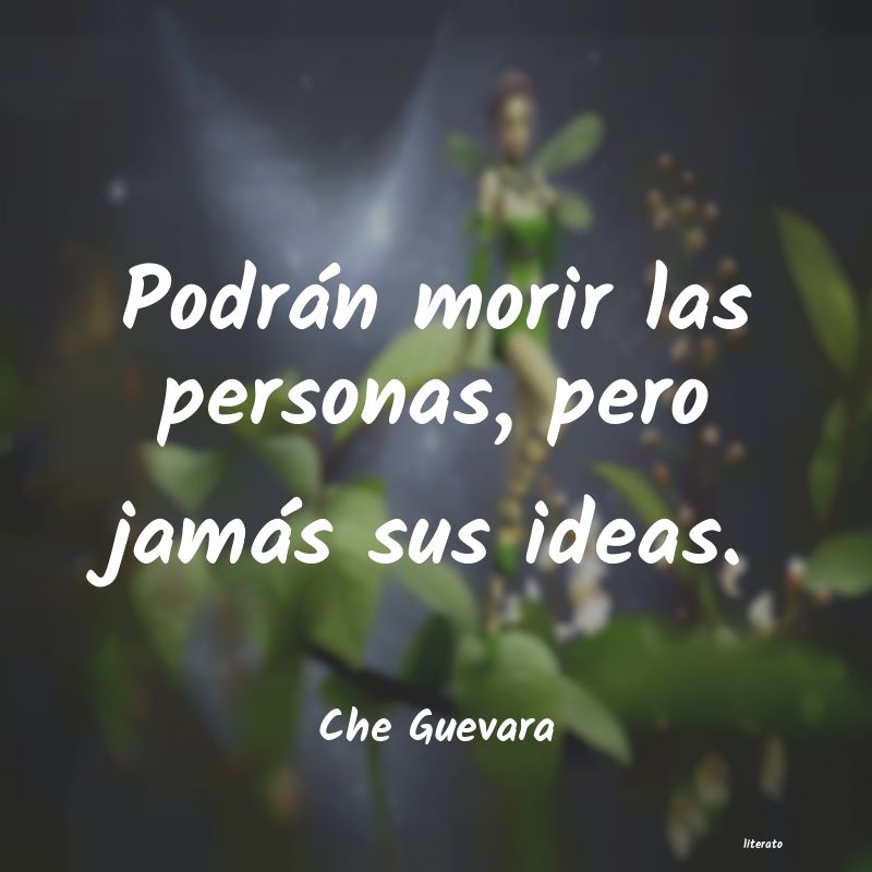 Frases de Che Guevara