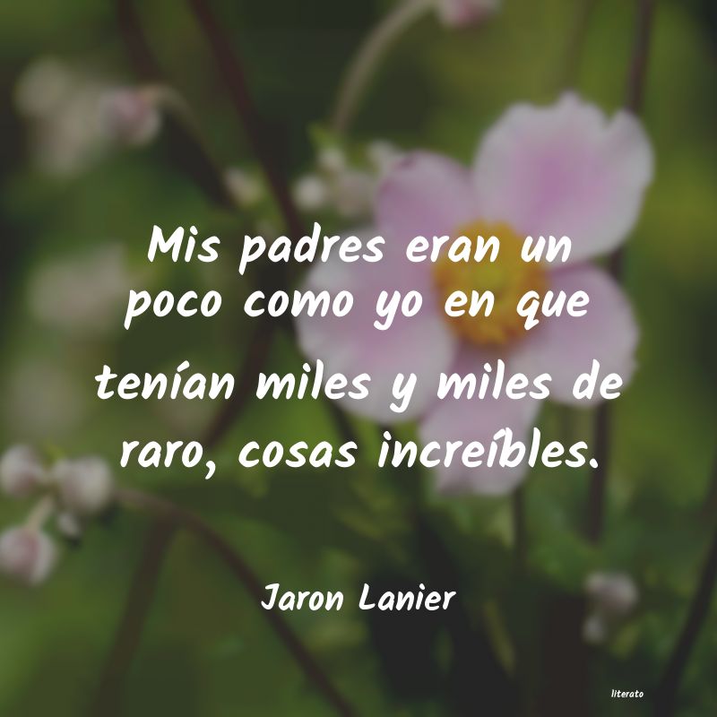 Frases de Jaron Lanier