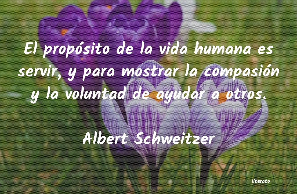 Frases de Albert Schweitzer