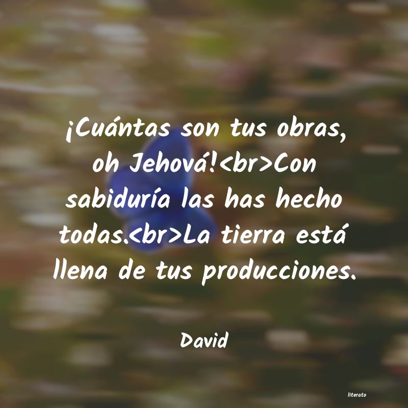 Frases de David