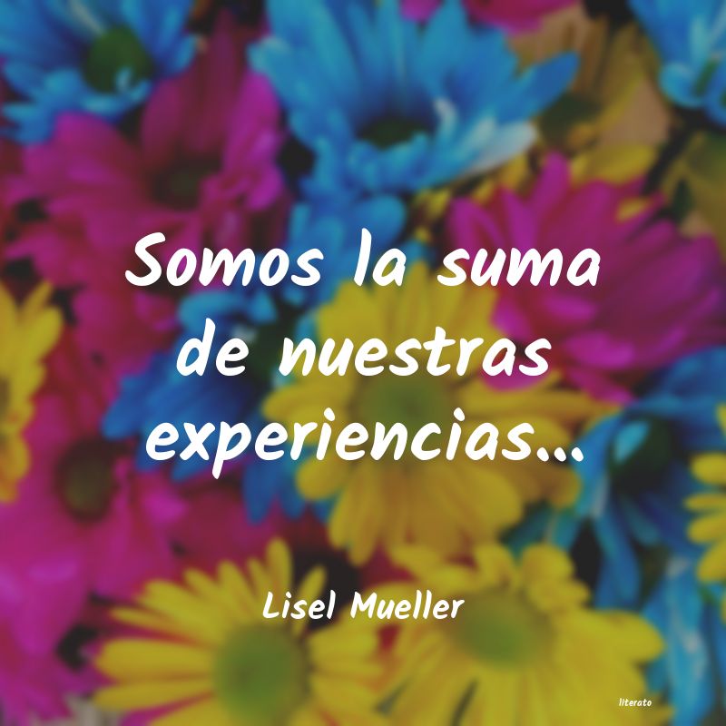 Frases de Lisel Mueller