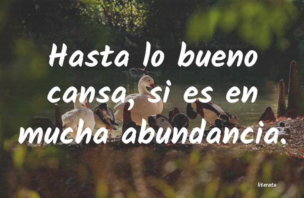 frases