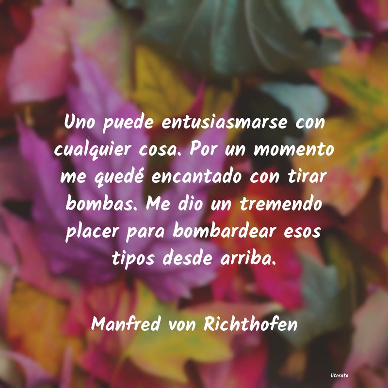 Frases de Manfred von Richthofen