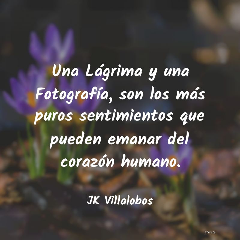 Frases de JK Villalobos