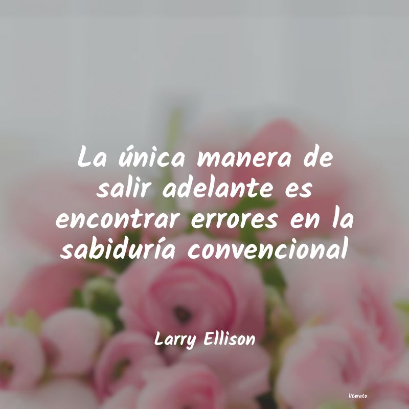 Frases de Larry Ellison