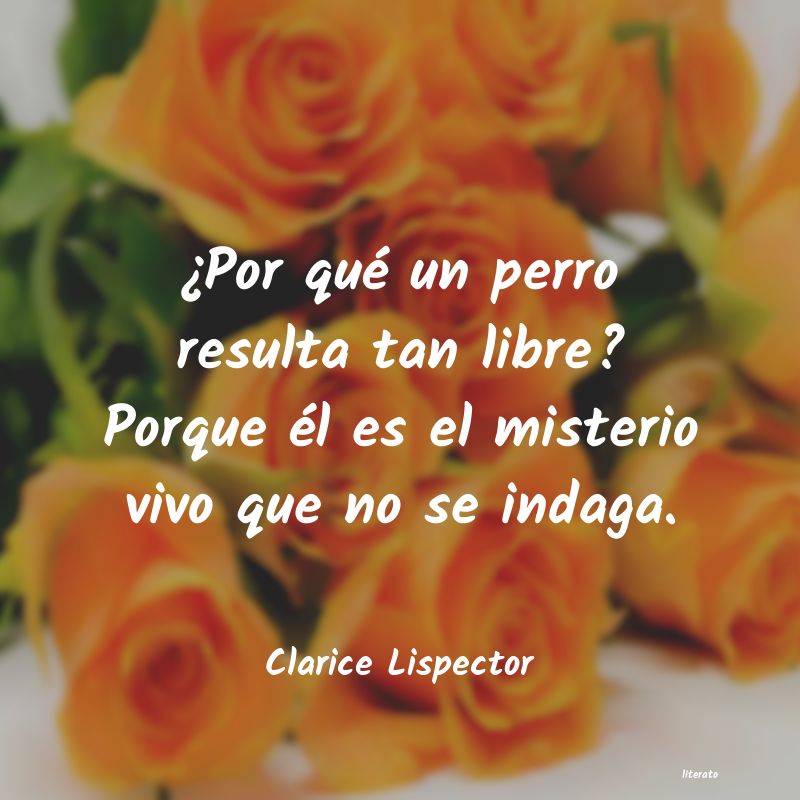 frases de Clarice Lispector