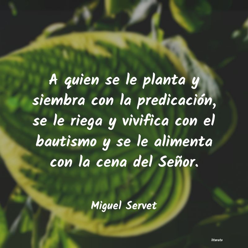 Frases de Miguel Servet