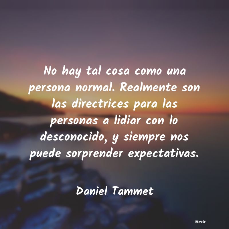 Frases de Daniel Tammet