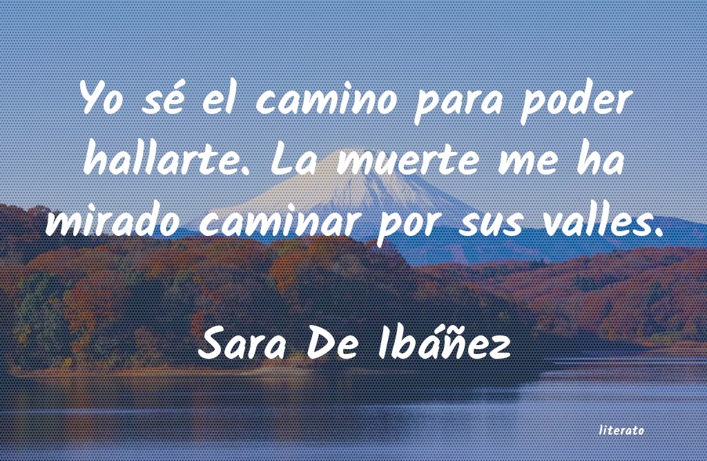 Frases de Sara De Ibáñez