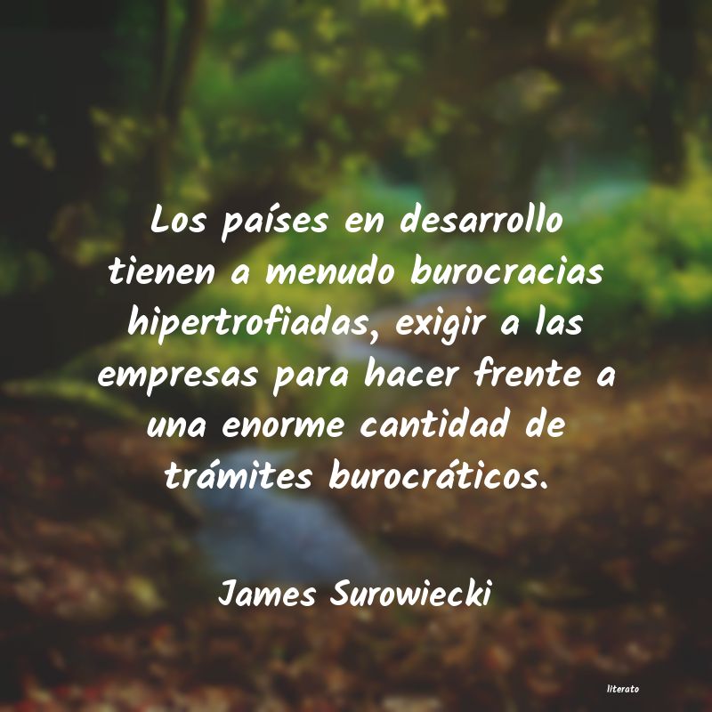 frases de James Surowiecki