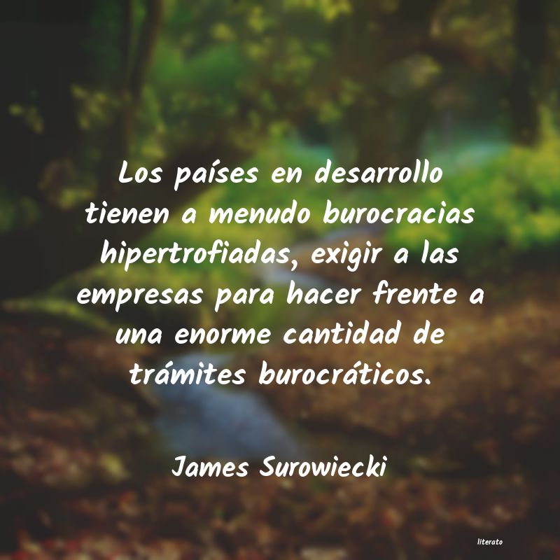 Frases de James Surowiecki