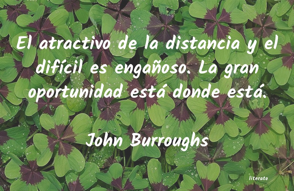 Frases de John Burroughs