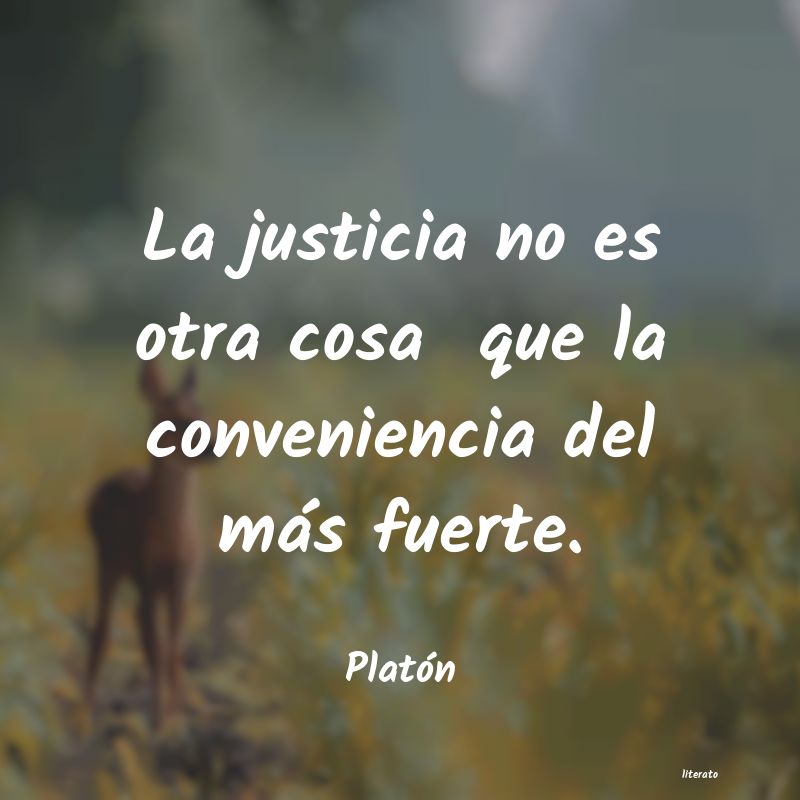 frases de justicia social