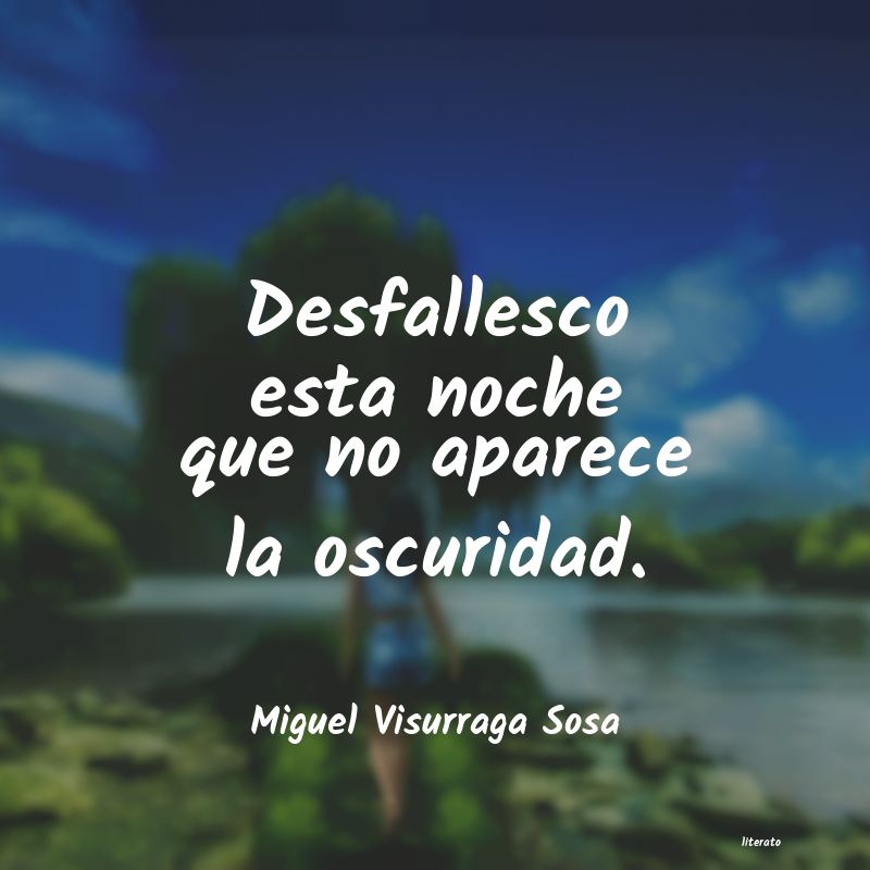 Frases de Miguel Visurraga Sosa