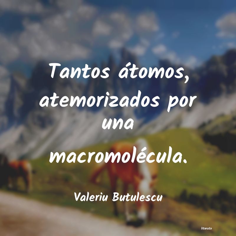 Frases de Valeriu Butulescu