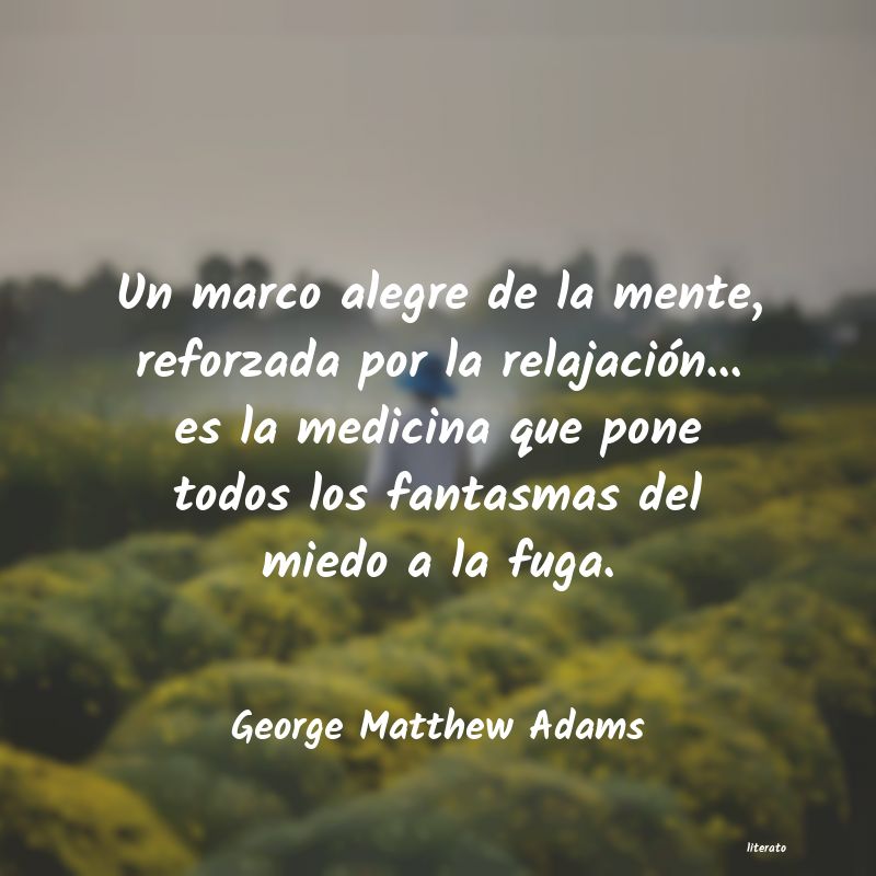 frases de George Matthew Adams