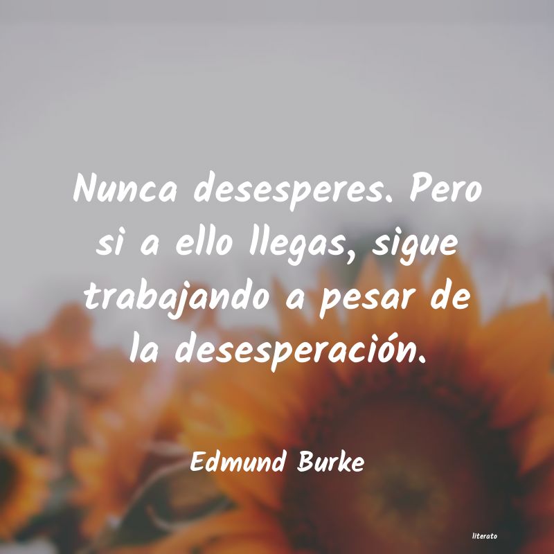 Frases de Edmund Burke