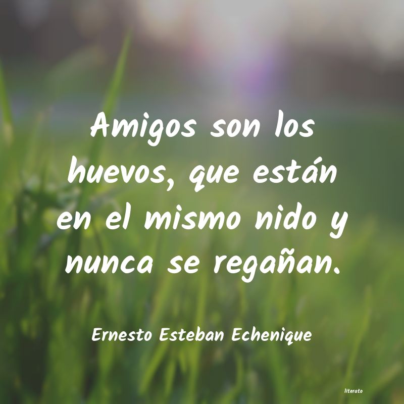 frases de Ernesto Esteban Echenique