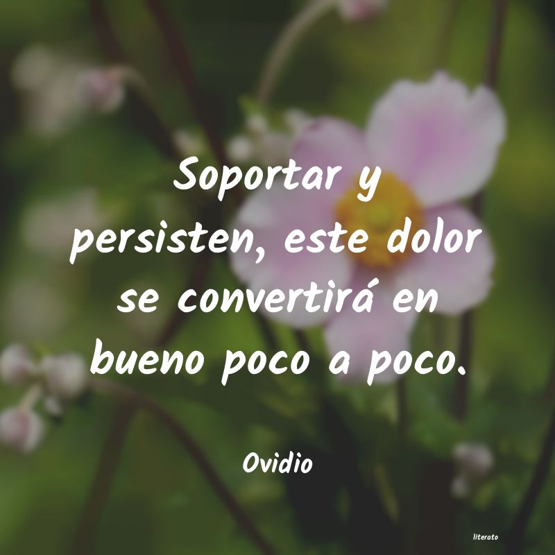 frases de Ovidio