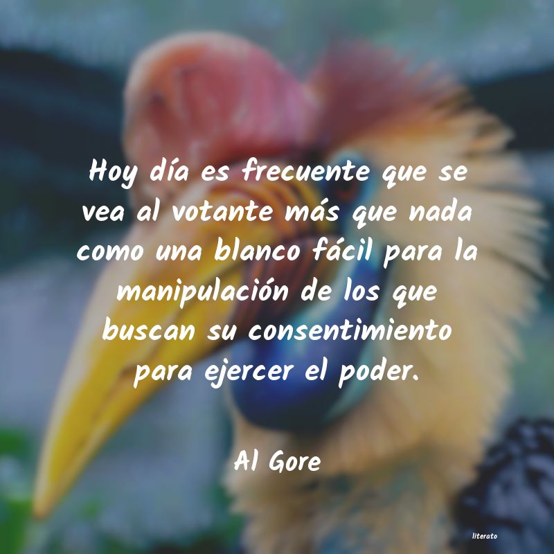 Frases de Al Gore